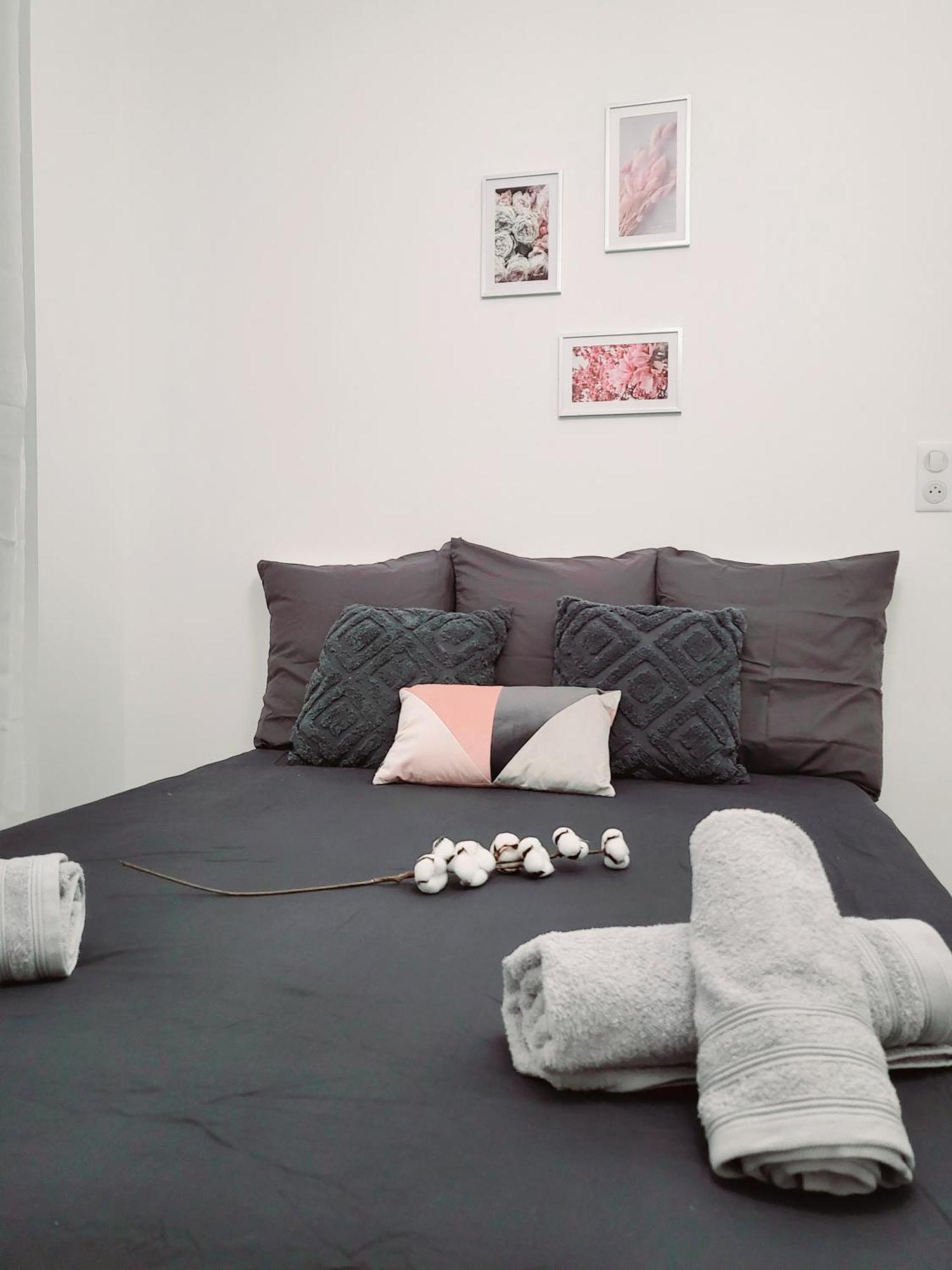 Le Chaleureux, 5Min Bale,Parking Apartment แซ็ง-ลุยส์ ภายนอก รูปภาพ